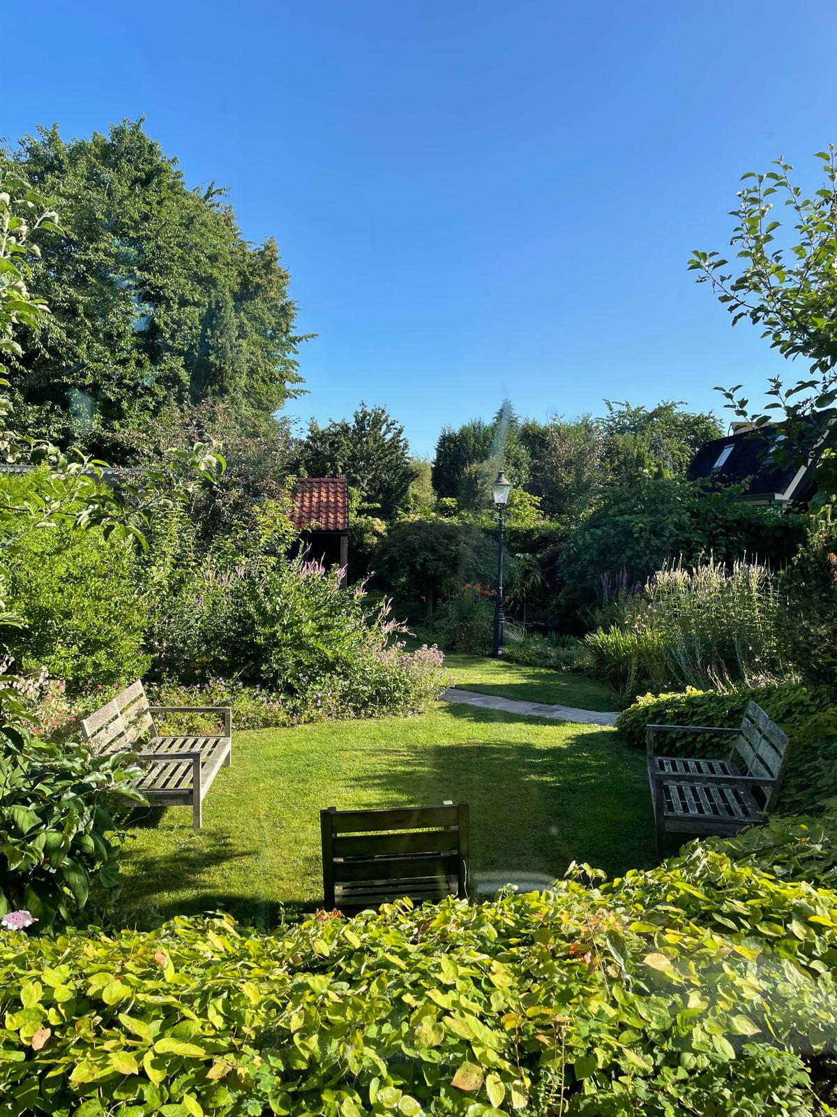 Decoratieve tuinafbeelding voor 404 pagina met weelderige beplanting die de essentie van Hof van Eden weerspiegelt